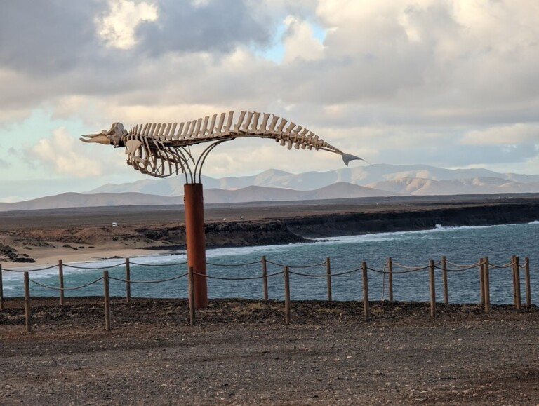 Lugares Que Ver En El Cotillo Fuerteventura Mapa