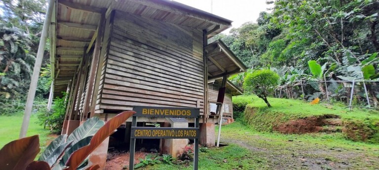 Parque Nacional Corcovado en Costa Rica LA GUÍA