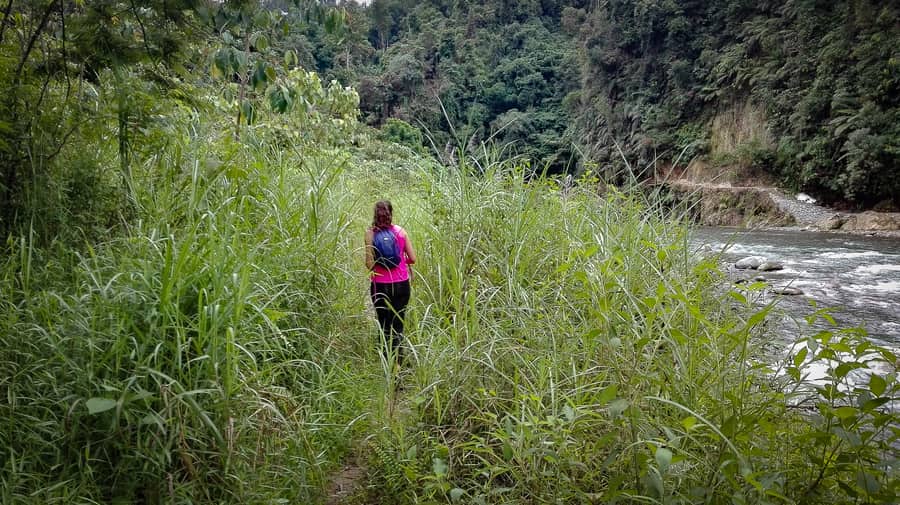 Trekking de dos dias para ver orangunates en la Selva de Bukit Lawang en Sumatra
