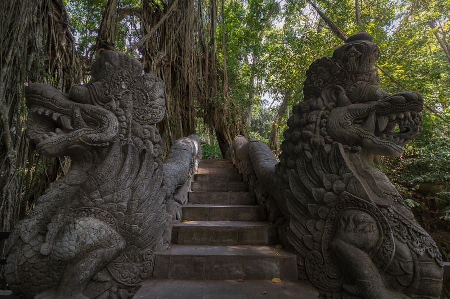 Things to do in Bali in a week - Sacred monkey forest of ubud