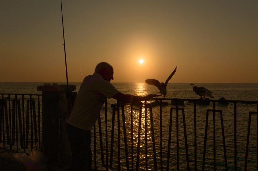 Pescadores al amanecer en Ortigia que hacer en Siracusa en un dia Sicilia Italia