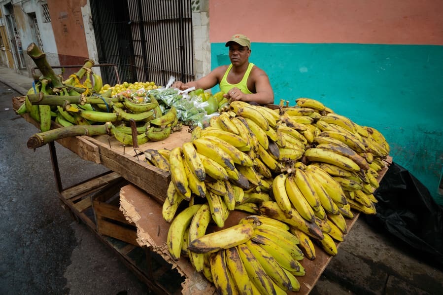 Daily scenes of centro Havana banana Market stall cuba