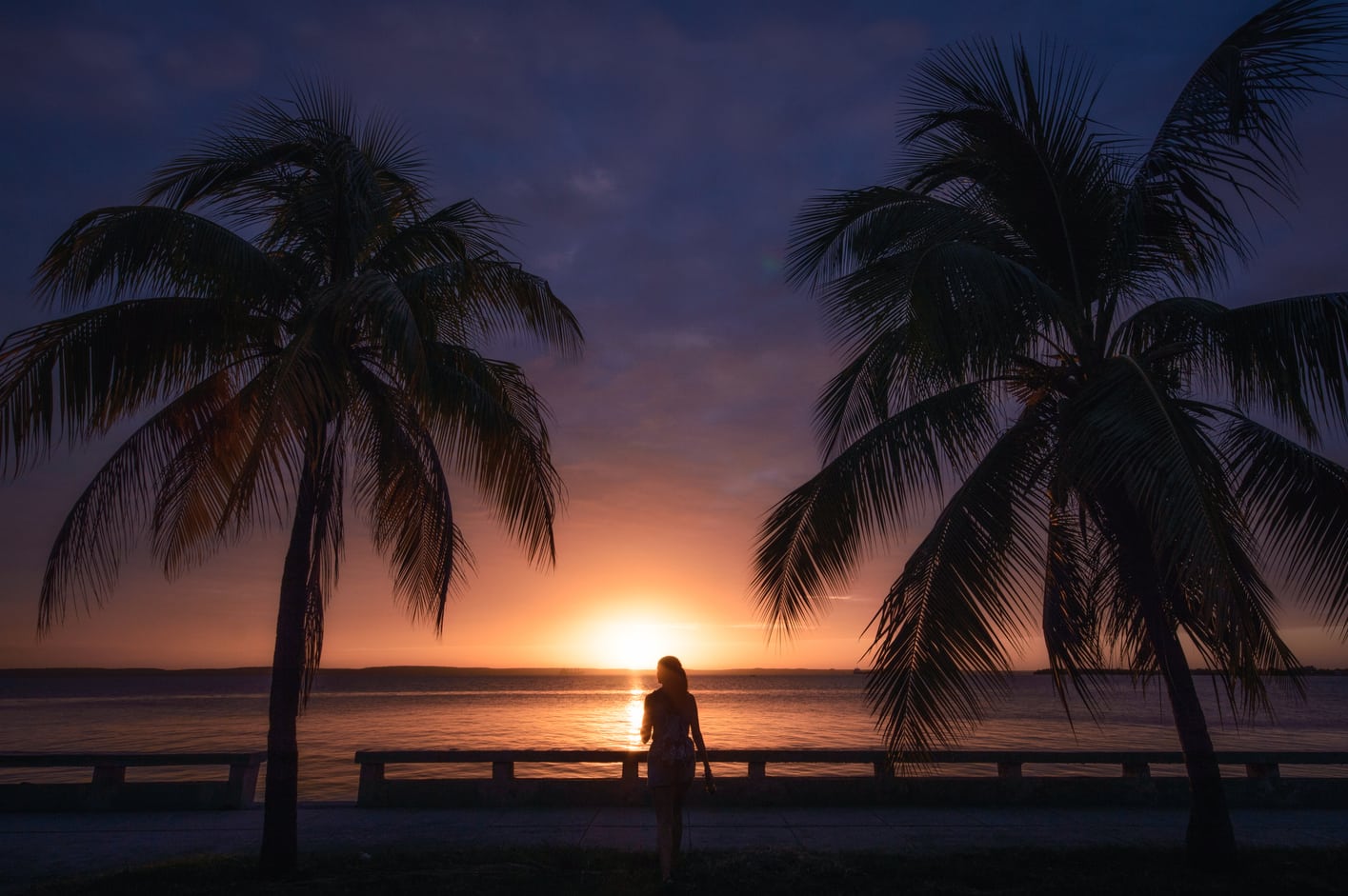 Palmeras Malecón de Cienfuegos Cuba