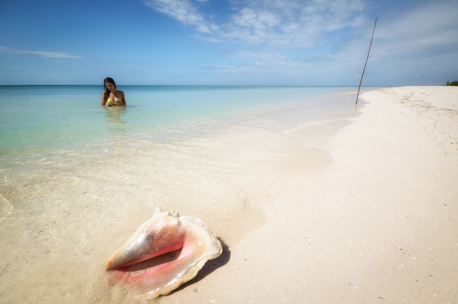 Concha gigante Cuba Cayo Jutías. la playa más bonita de cuba
