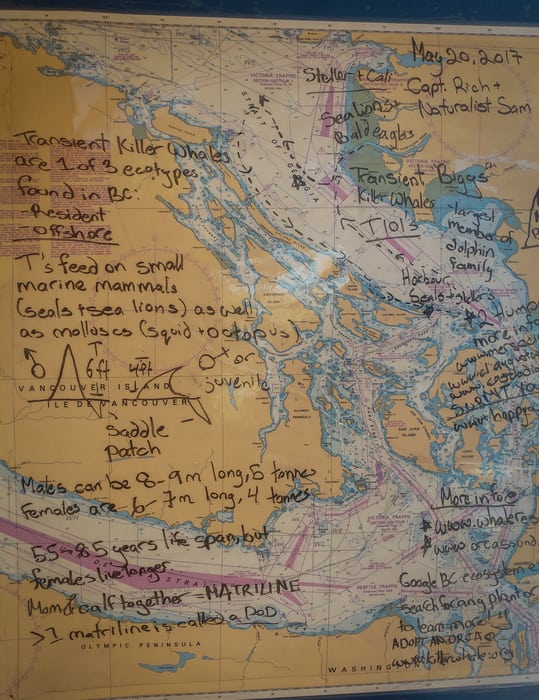 Whale-watching map, killer whale tour vancouver