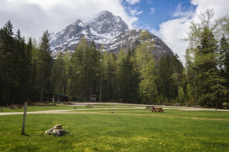 camping kicking horse en yoho national park. mejor camping en yoho