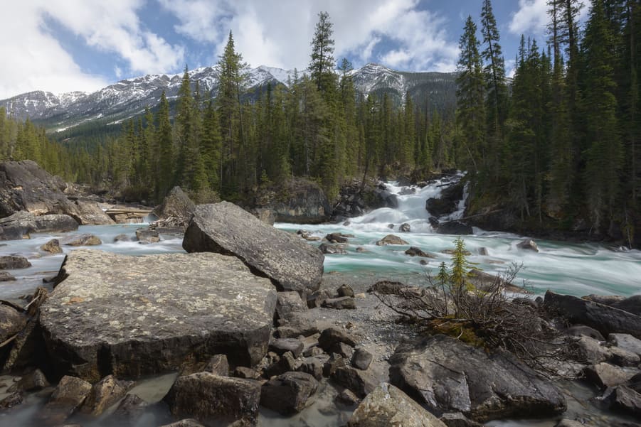 meeting of the waters yoho canada