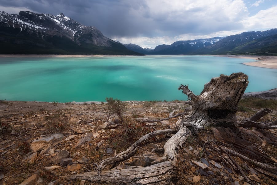 ir a abraham lake desde la icefields parkway canada