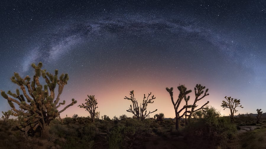 milky way in mojave national park