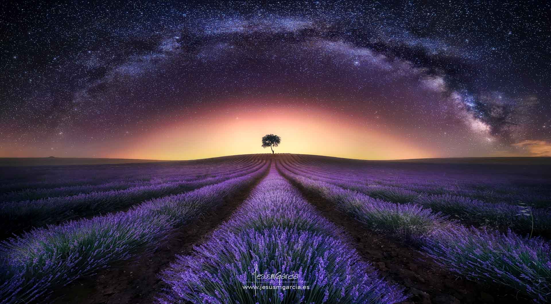 Milky Way  brihuega Spain night stars lavender
