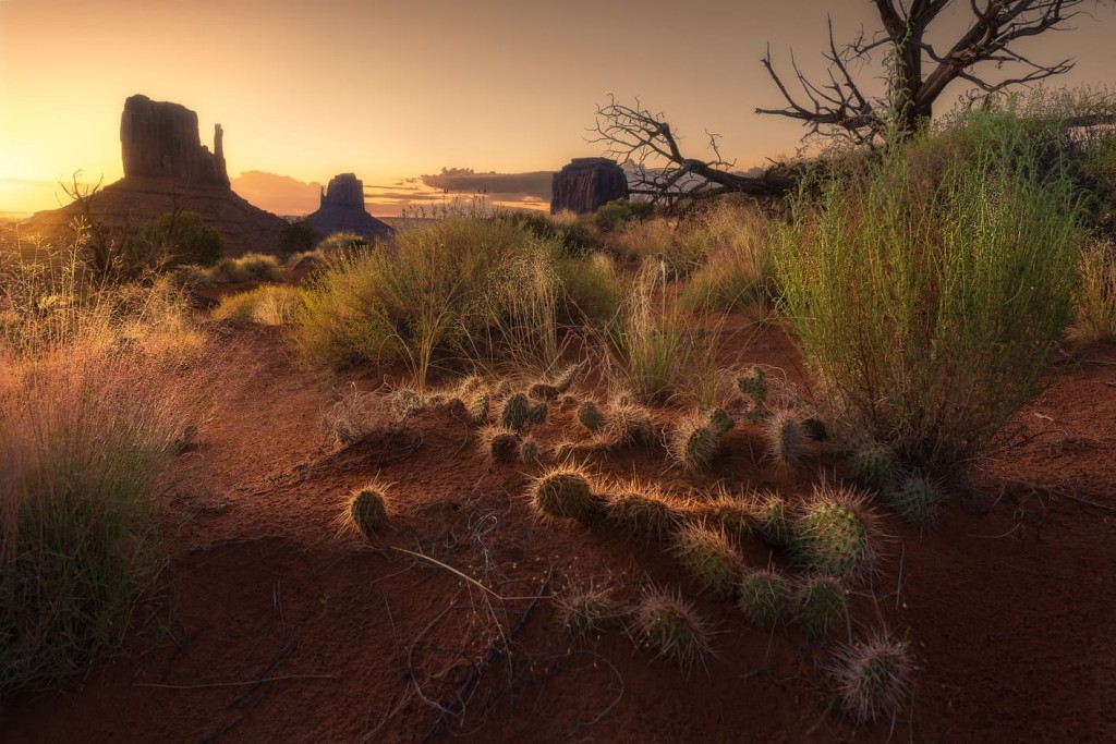 Monument Valley, camper van rental grand canyon