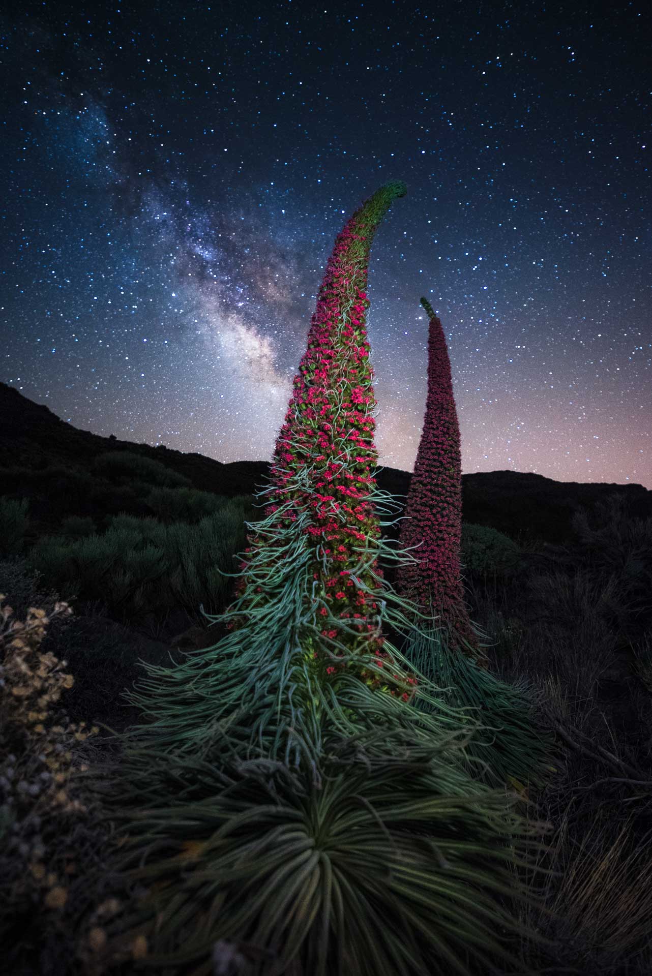 Milky Way stars tajinaste Tenerife Spain