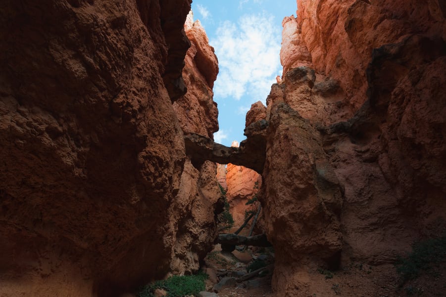 que ver en Bryce zion national park costa oeste estados unidos