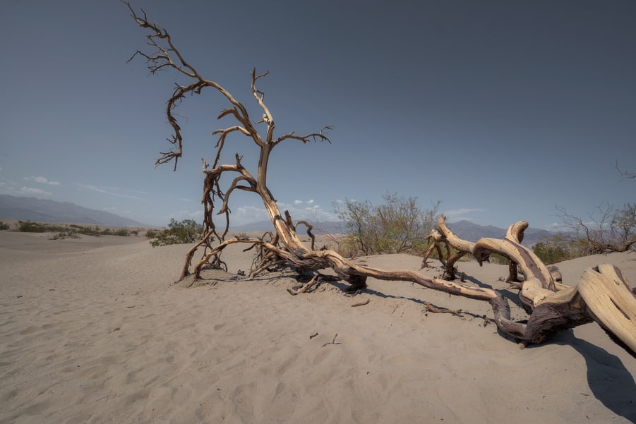 mesquite flat dunes cosas que no te puedes perder en death valley