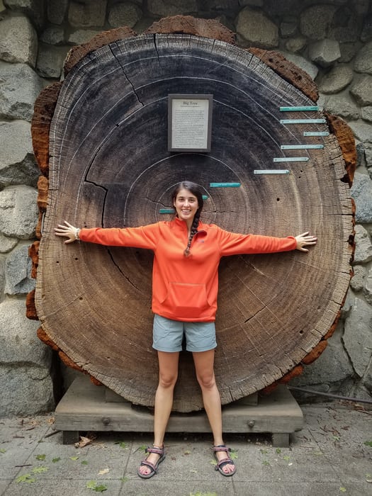 secuoyas gigantes en mariposa grove yosemite que hacer en una semana