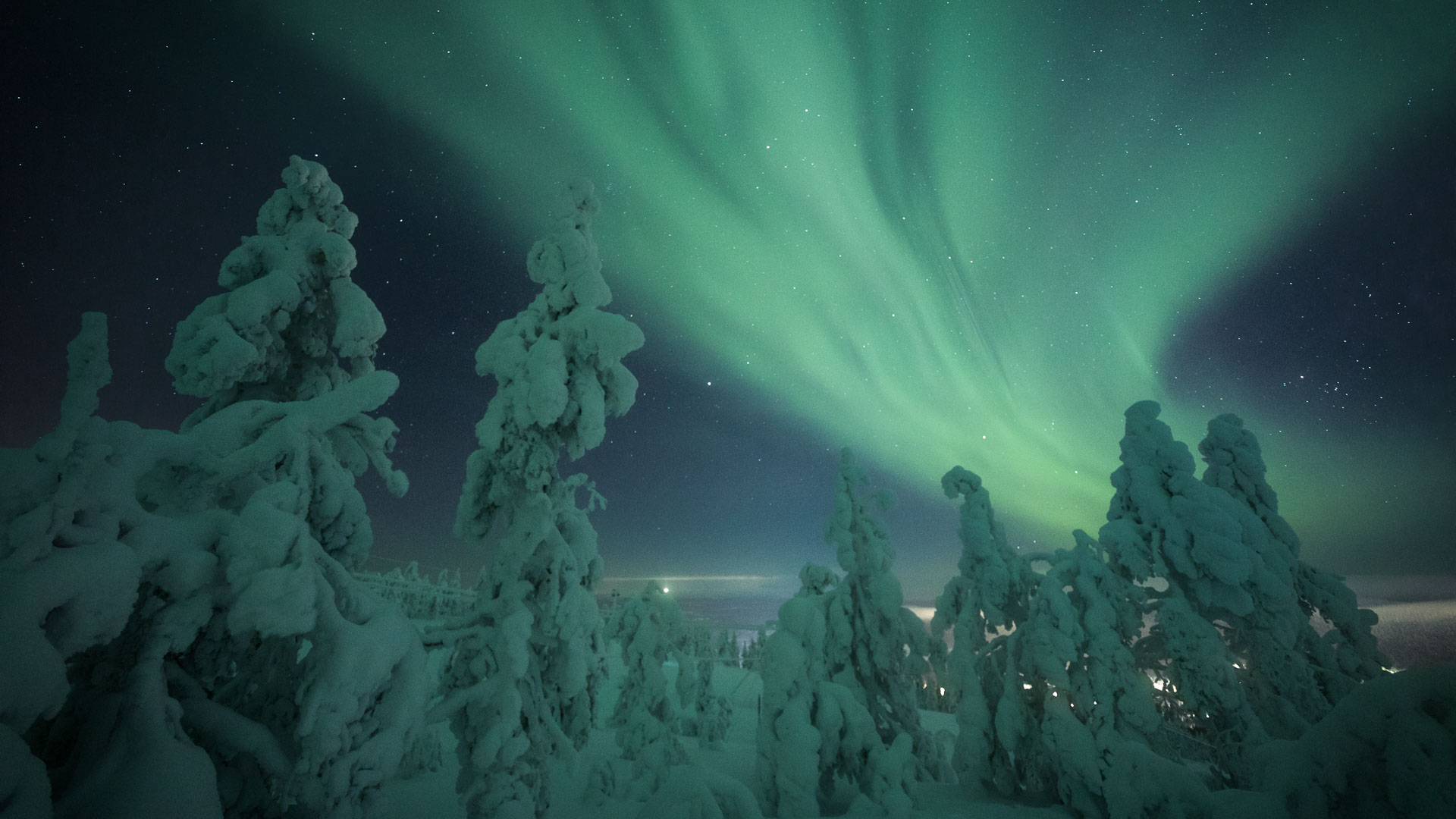 Northern Lights Finland Levi Boreal forest tundra 