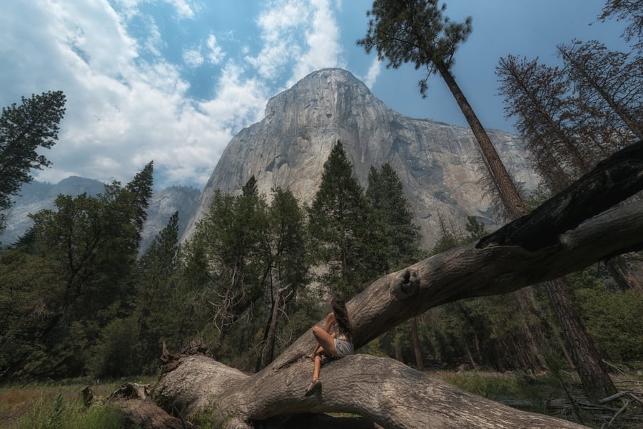 el capitan yosemite california usa from yosemite valley