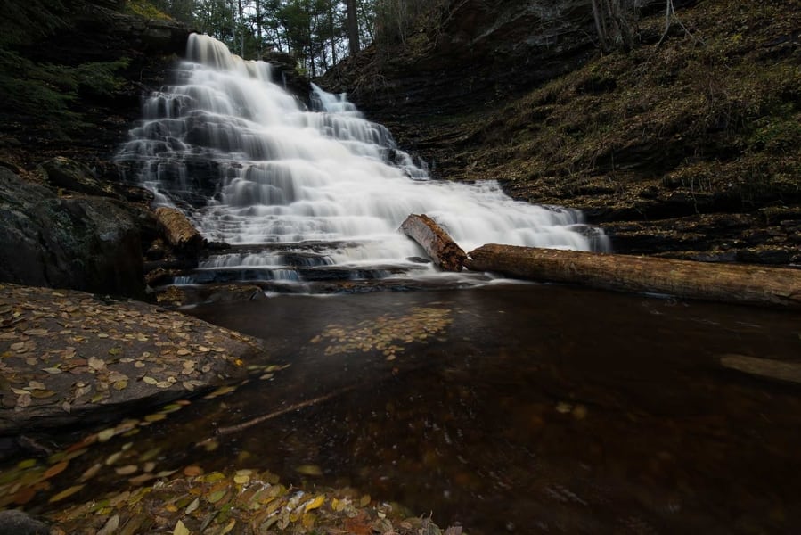 Using a polarizer for fallen leaves photography