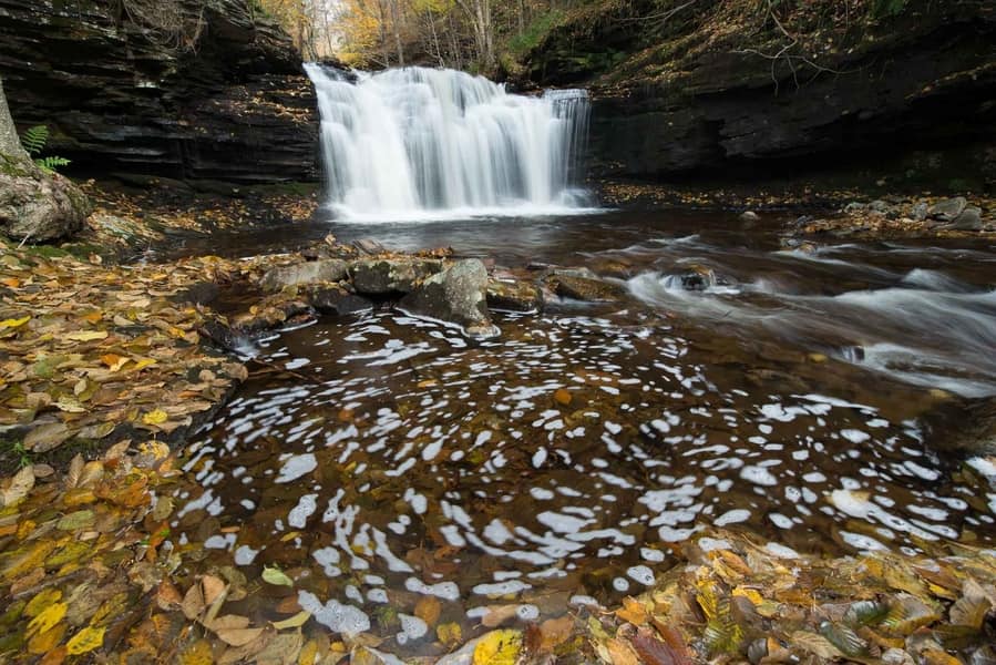 Mejores consejos filtros fotografiar el otoño