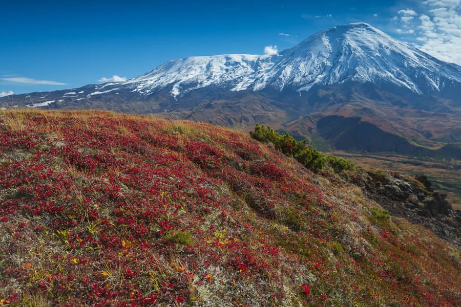 tolbachik best things to do in kamchatka trip with photographers price
