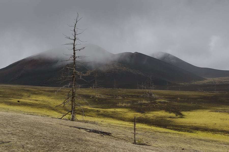 death forest kamchatka russia landscape trip in 15 days