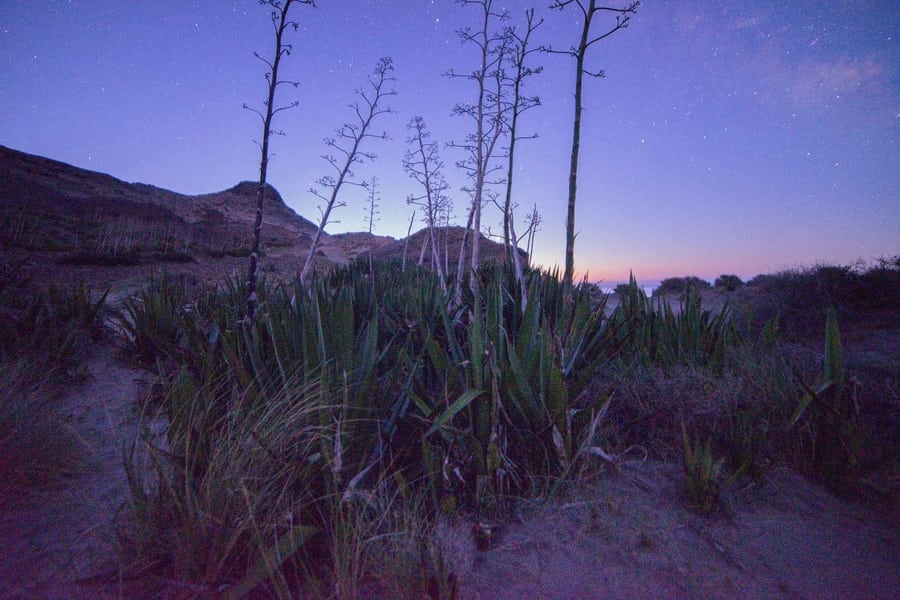 que es el ruido en fotografia