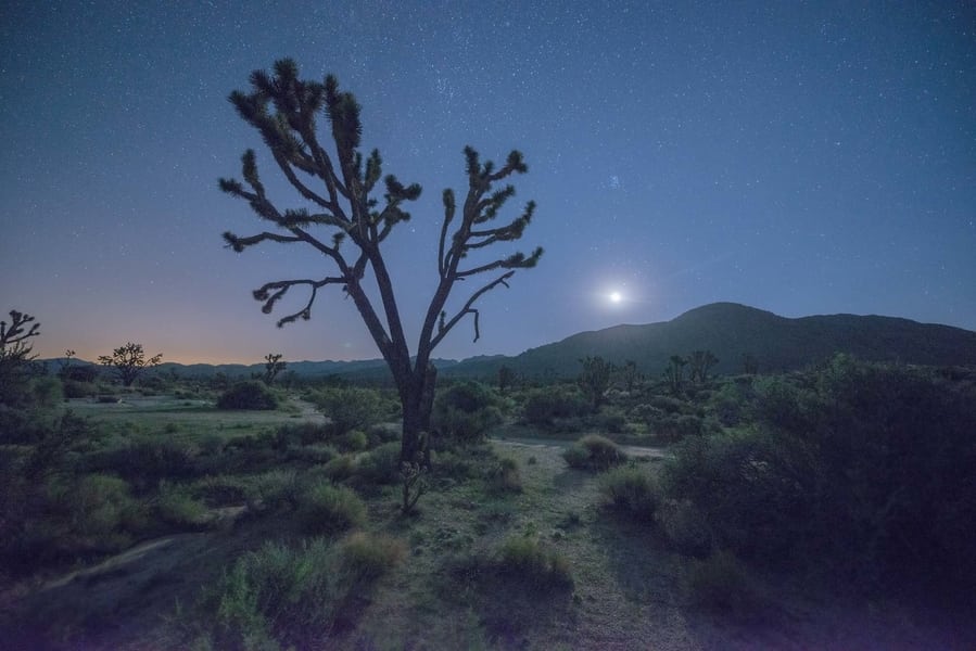 mejores extensiones para reducir el ruido en lightroom