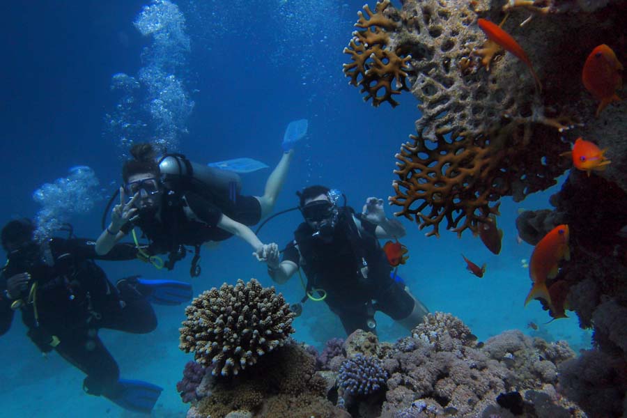 coral in bali divers underwater and goldfish. Sanur is one of the areas with the best bali hotels