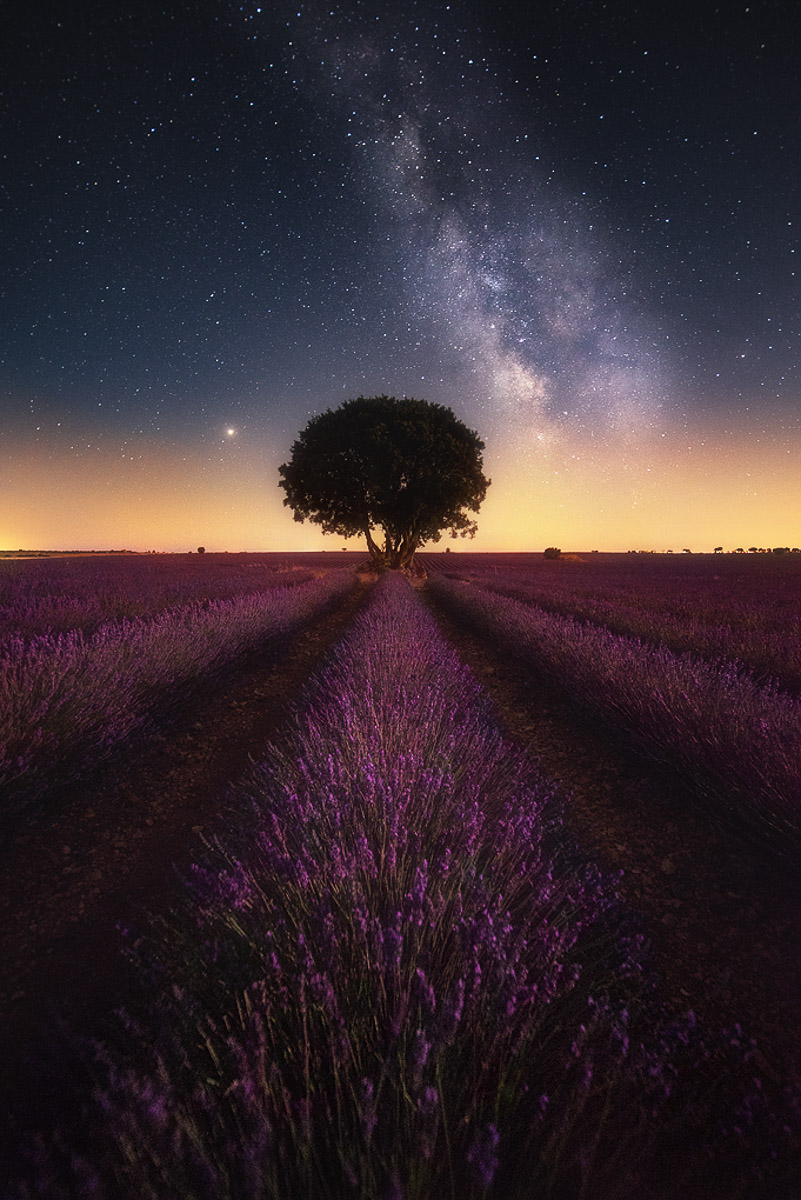 Milky Way Brihuega Lavender Fields Spain night photo