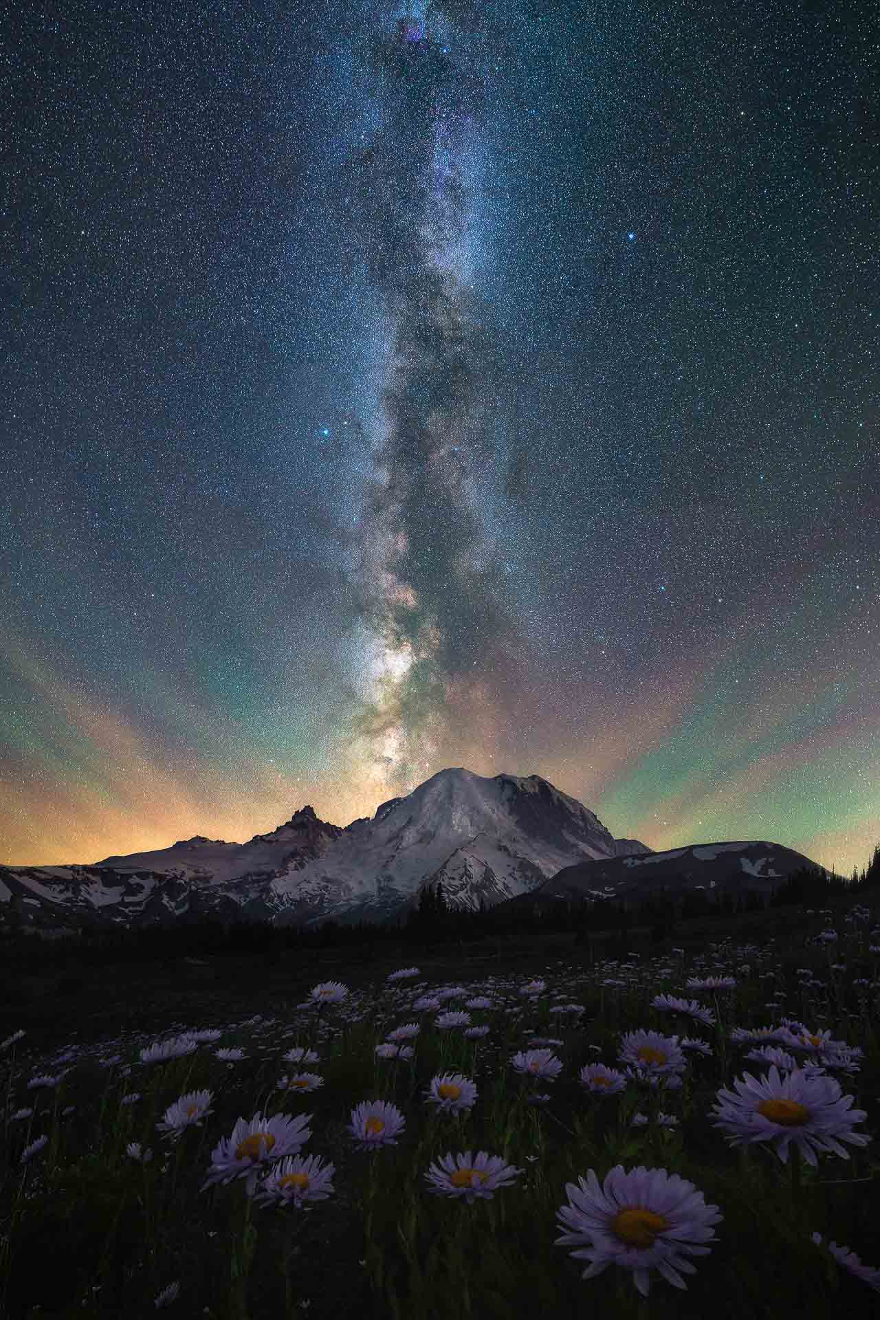 Vía Láctea Monte Rainier Volcán flores silvestres