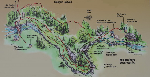 mapa de maligne canyon. guia completa de jasper national park