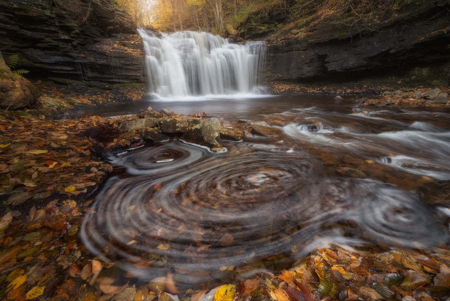 Photographing the fall foliage 