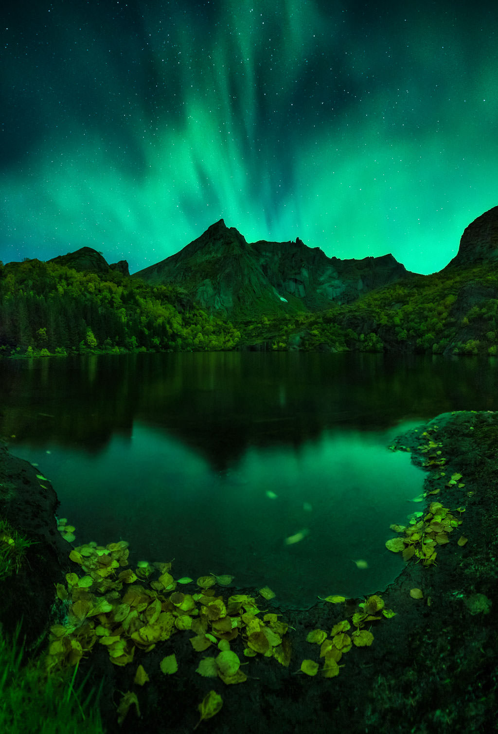 Mejor imagen de auroras boreales