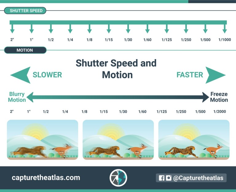 What Is Shutter Speed? Understanding Shutter Speed In Photography