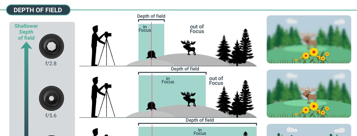 Depth Of Field Photo Essay