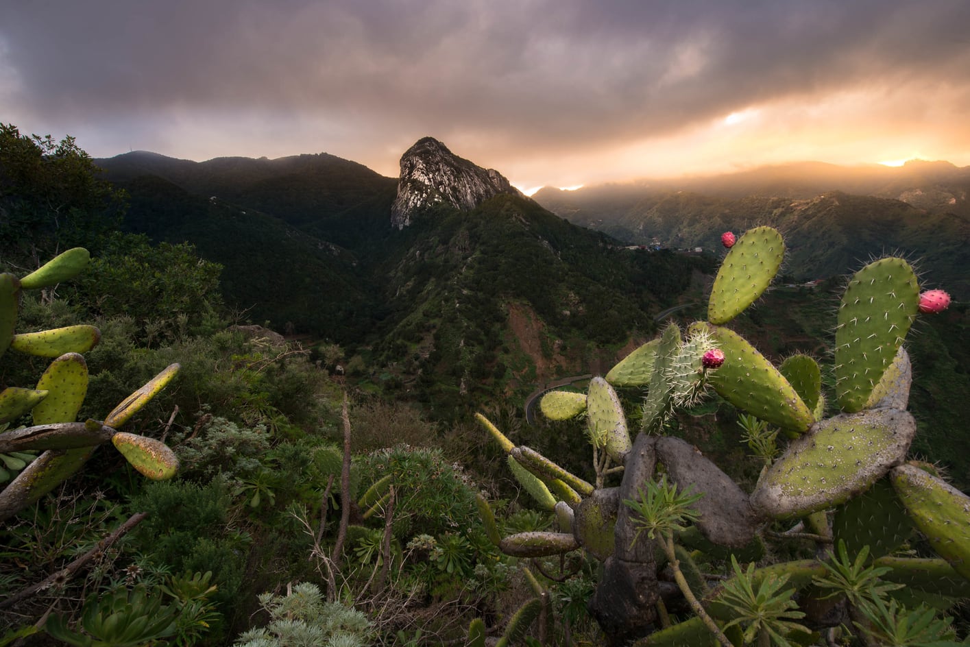 Anaga Rural Park, best things to do in north tenerife