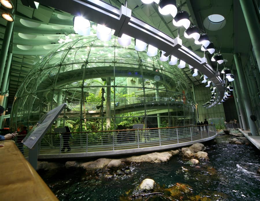 California Academy of Sciences, a visit to do in SF