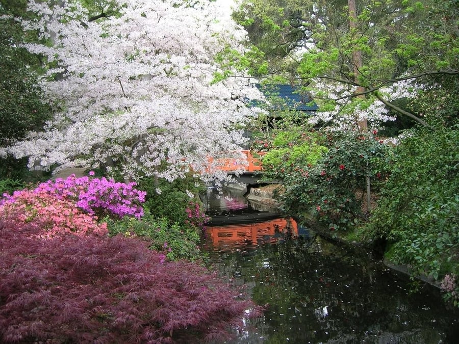 Jardines Descanso, un jardín japonés que visitaren Los Angeles