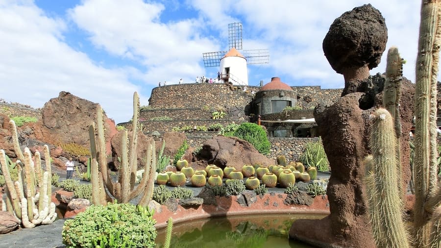 Guía para visitar el Jardín de Cactus en Lanzarote
