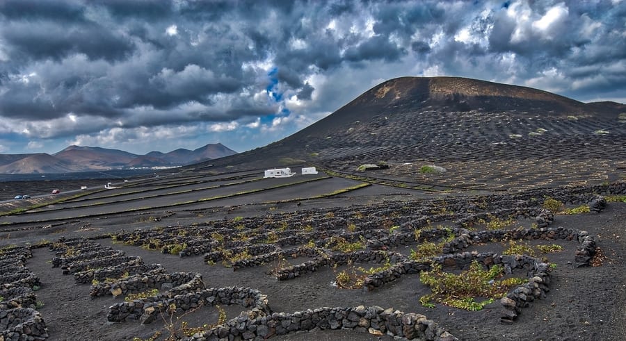 Wine tour, something to do in Lanzarote, Canary Islands, Spain
