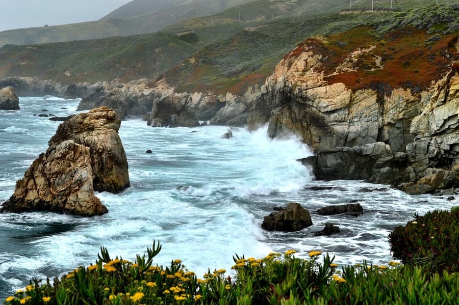 Excursion to Carmel and Monterey, something to do near San Francisco