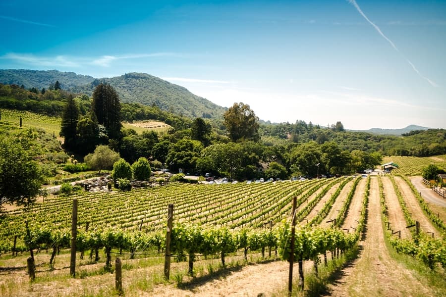Napa and Sonoma, the places to do wine tastings in San Francisco