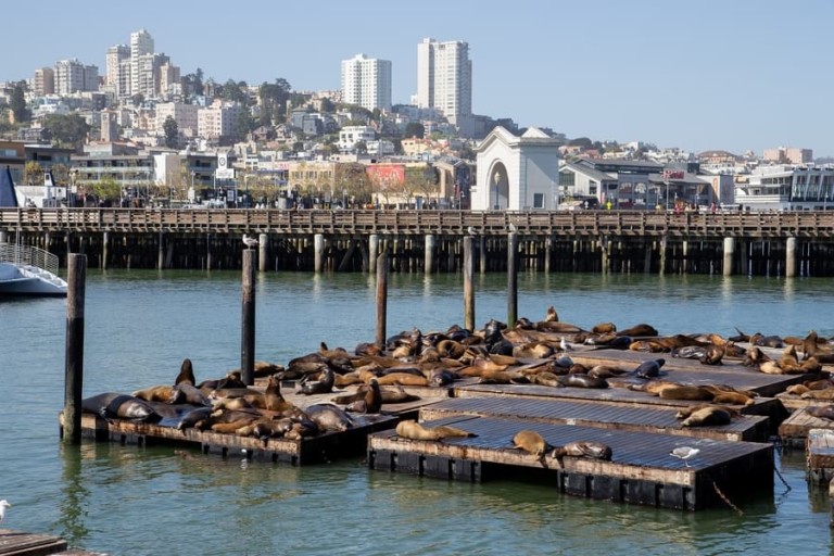 60 Things to Do in San Francisco and Top Attractions in SF, CA