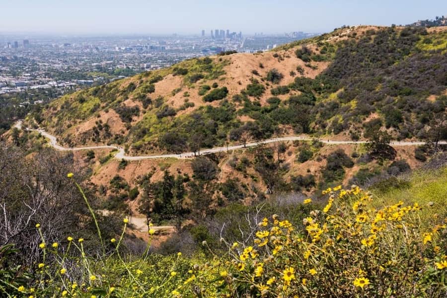 Runyon Canyon Park, the best place for hiking in Los Angeles