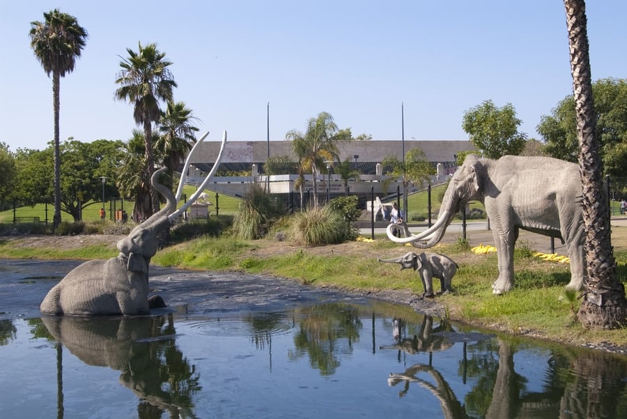 The La Brea Tar Pits and Museum, another museum to visit in LA