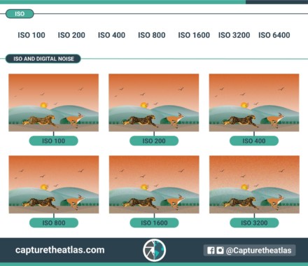 What is ISO Sensitivity? Understanding ISO in Photography