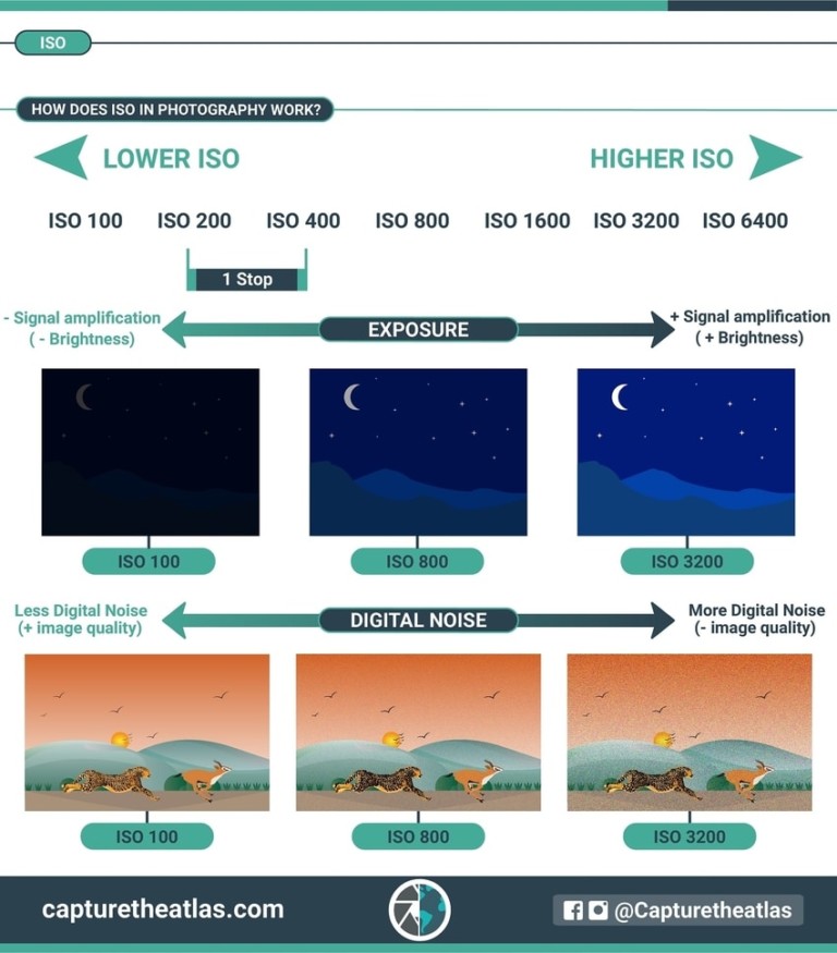 What is ISO Sensitivity? Understanding ISO in Photography