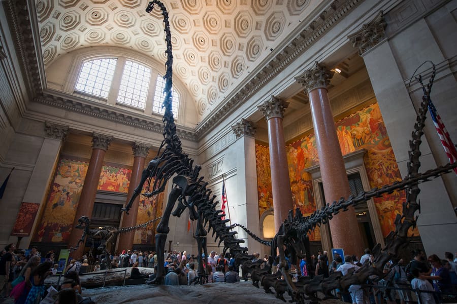 Museo Americano de Historia Natural, el mejor museo gratis de Nueva York