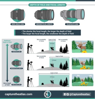 Depth of Field in Photography Explained: The Ultimate DOF Guide!