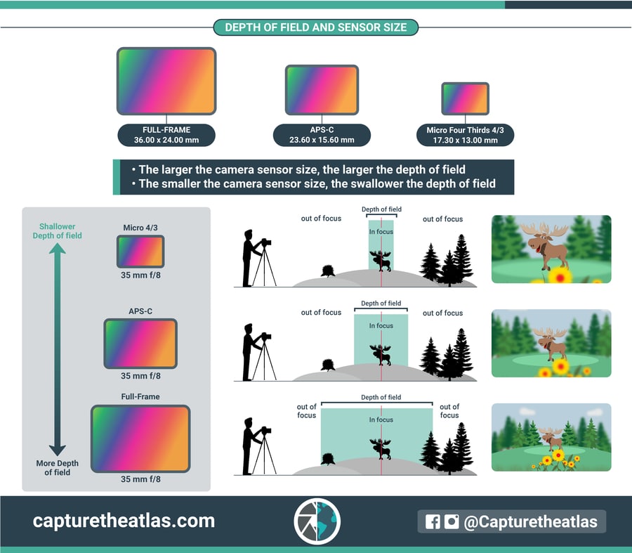 What is a Micron? The explanation and size comparison Infographic